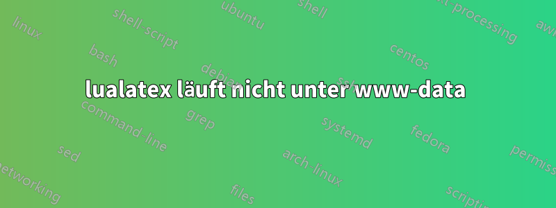 lualatex läuft nicht unter www-data