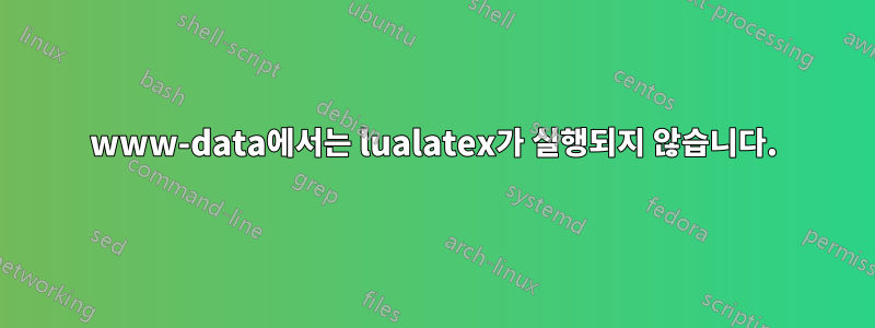 www-data에서는 lualatex가 실행되지 않습니다.