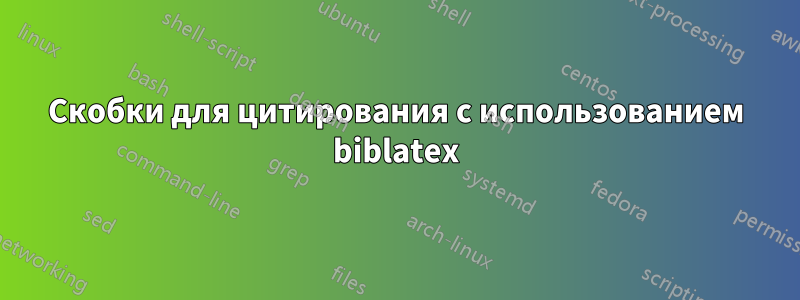 Скобки для цитирования с использованием biblatex