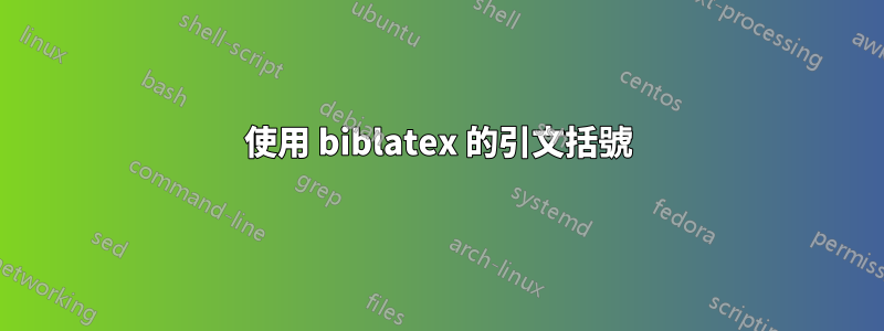 使用 biblatex 的引文括號