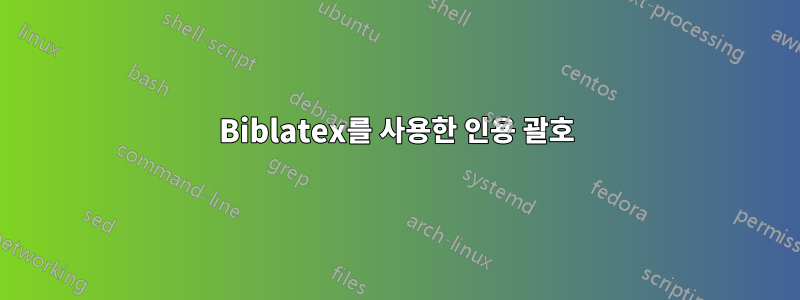 Biblatex를 사용한 인용 괄호