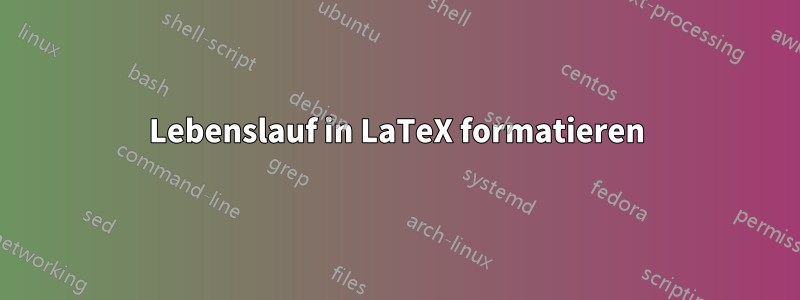 Lebenslauf in LaTeX formatieren