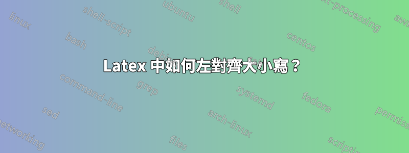 Latex 中如何左對齊大小寫？