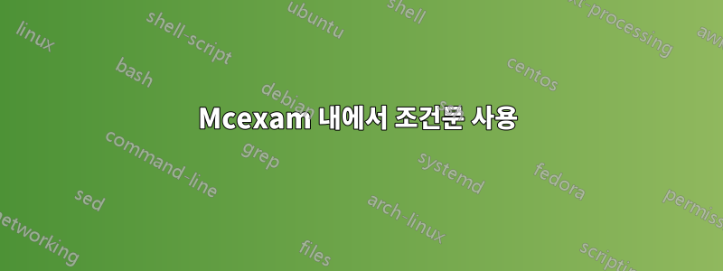 Mcexam 내에서 조건문 사용