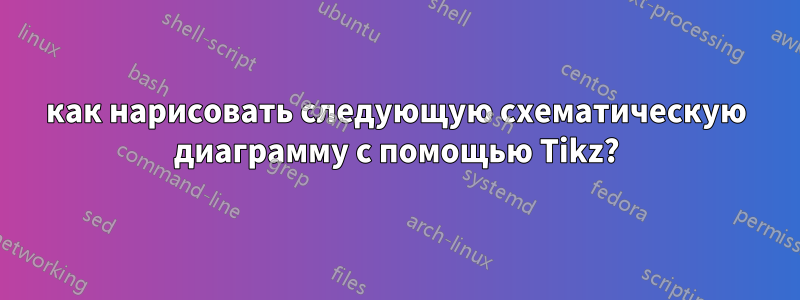 как нарисовать следующую схематическую диаграмму с помощью Tikz?