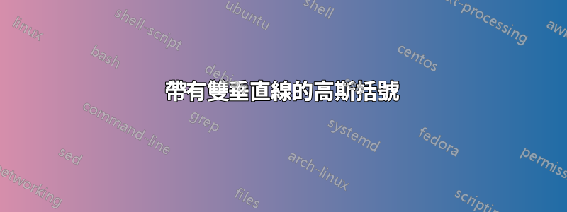 帶有雙垂直線的高斯括號