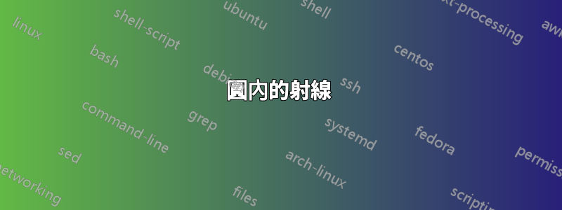 圓內的射線