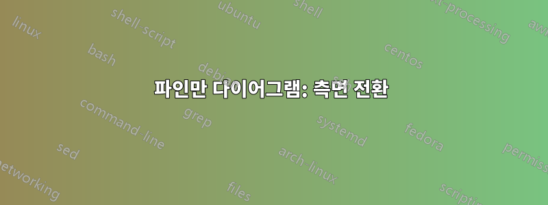 파인만 다이어그램: 측면 전환