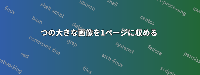 2つの大きな画像を1ページに収める