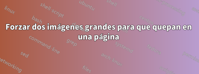 Forzar dos imágenes grandes para que quepan en una página