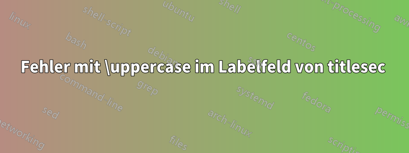 Fehler mit \uppercase im Labelfeld von titlesec