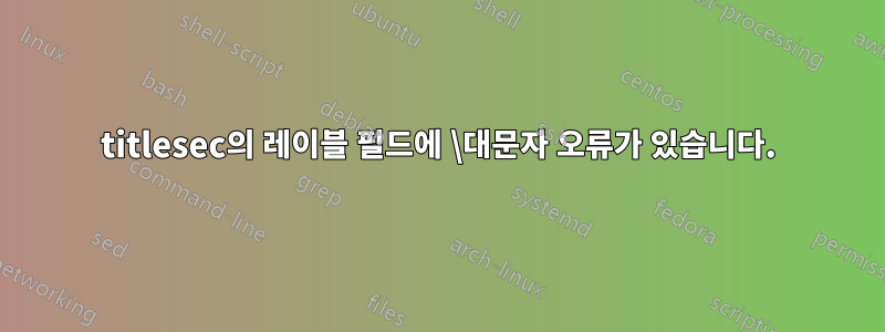 titlesec의 레이블 필드에 \대문자 오류가 있습니다.