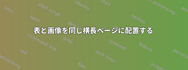 表と画像を同じ横長ページに配置する
