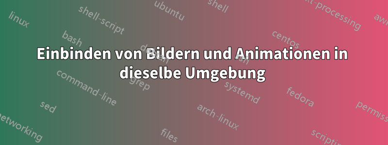 Einbinden von Bildern und Animationen in dieselbe Umgebung