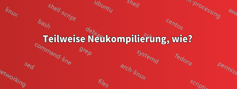 Teilweise Neukompilierung, wie?
