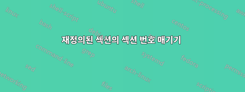 재정의된 섹션의 섹션 번호 매기기