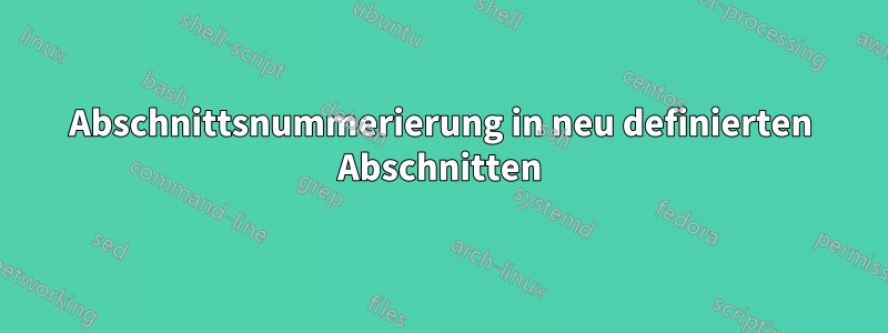 Abschnittsnummerierung in neu definierten Abschnitten