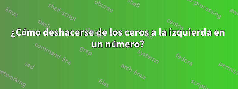 ¿Cómo deshacerse de los ceros a la izquierda en un número?