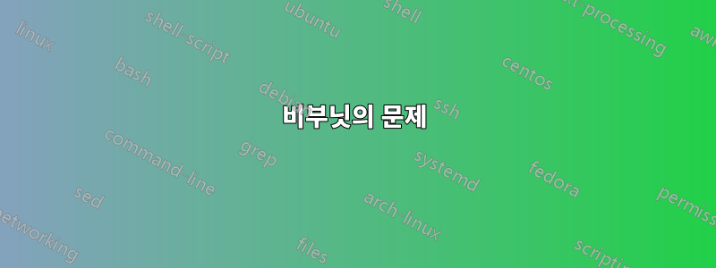 비부닛의 문제