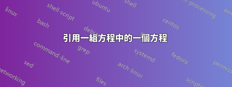 引用一組方程中的一個方程