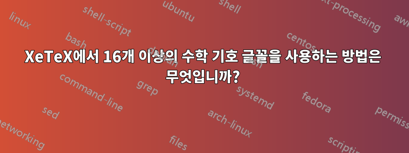 XeTeX에서 16개 이상의 수학 기호 글꼴을 사용하는 방법은 무엇입니까?