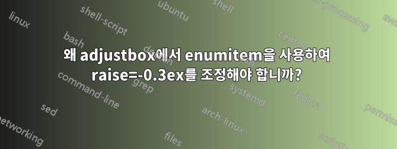 왜 adjustbox에서 enumitem을 사용하여 raise=-0.3ex를 조정해야 합니까?