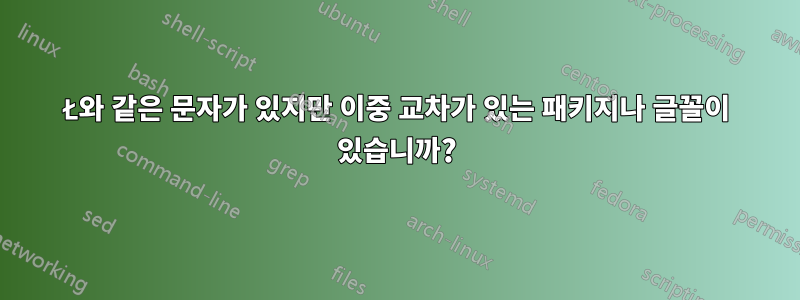 Ł와 같은 문자가 있지만 이중 교차가 있는 패키지나 글꼴이 있습니까?