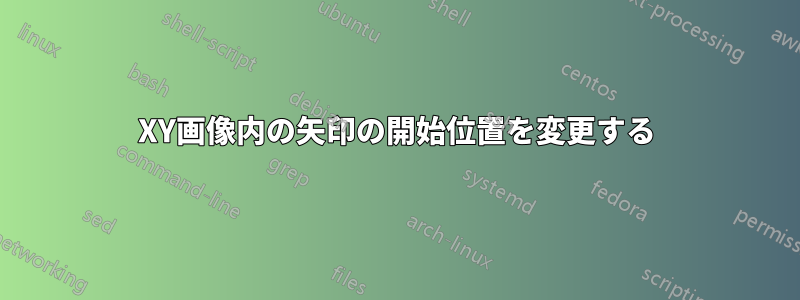 XY画像内の矢印の開始位置を変更する