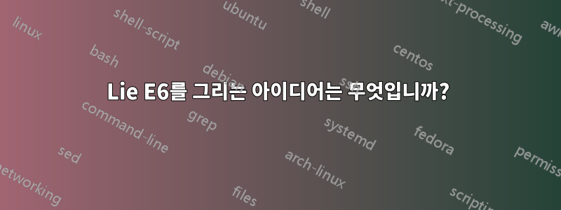 Lie E6를 그리는 아이디어는 무엇입니까?