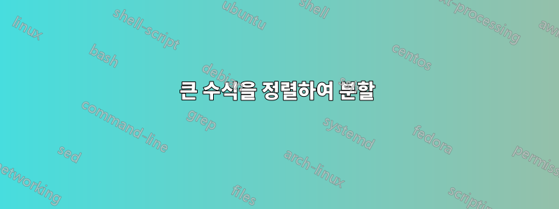 큰 수식을 정렬하여 분할