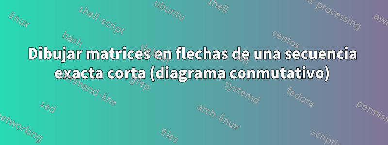 Dibujar matrices en flechas de una secuencia exacta corta (diagrama conmutativo)