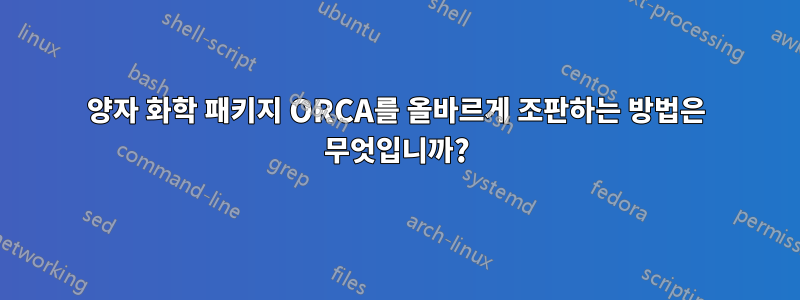 양자 화학 패키지 ORCA를 올바르게 조판하는 방법은 무엇입니까?