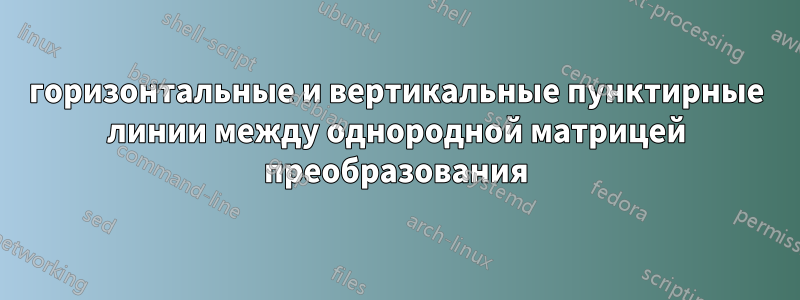 горизонтальные и вертикальные пунктирные линии между однородной матрицей преобразования