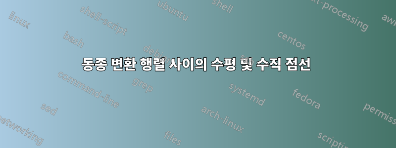 동종 변환 행렬 사이의 수평 및 수직 점선