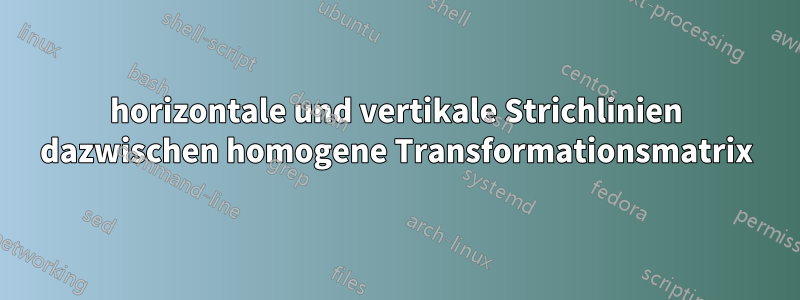 horizontale und vertikale Strichlinien dazwischen homogene Transformationsmatrix