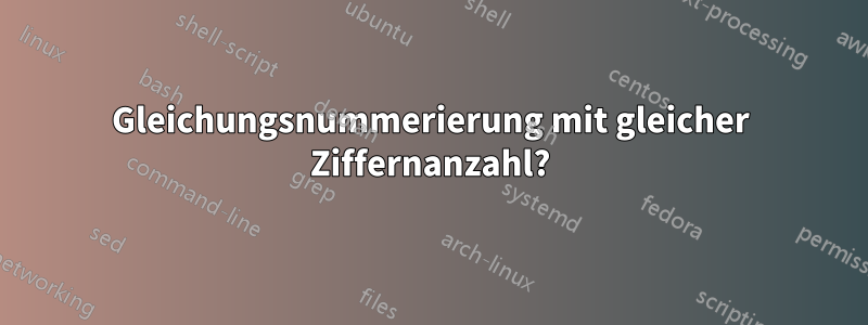 Gleichungsnummerierung mit gleicher Ziffernanzahl?