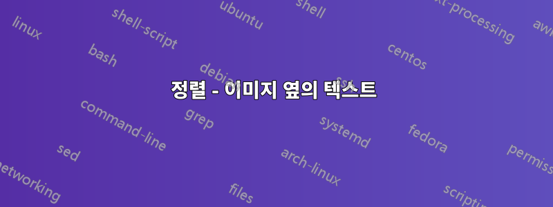 정렬 - 이미지 옆의 텍스트