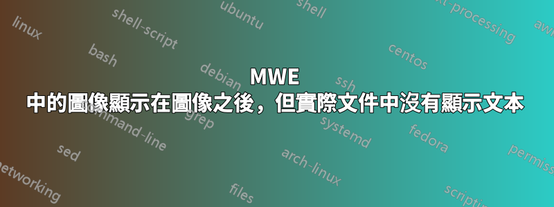 MWE 中的圖像顯示在圖像之後，但實際文件中沒有顯示文本