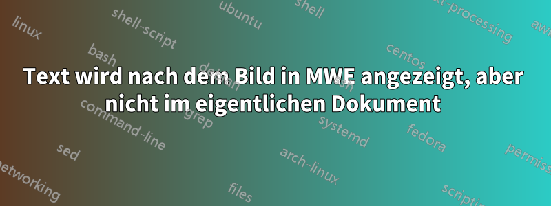 Text wird nach dem Bild in MWE angezeigt, aber nicht im eigentlichen Dokument