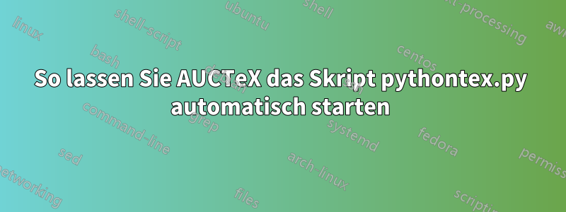 So lassen Sie AUCTeX das Skript pythontex.py automatisch starten