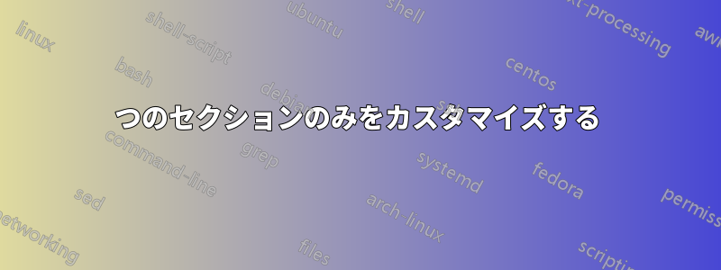 1つのセクションのみをカスタマイズする