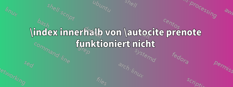 \index innerhalb von \autocite prenote funktioniert nicht