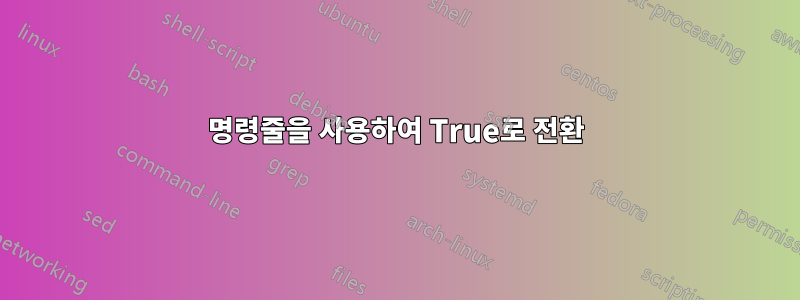 명령줄을 사용하여 True로 전환