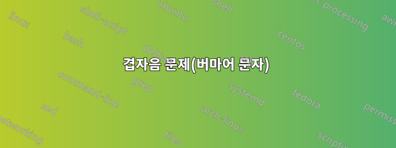 겹자음 문제(버마어 문자)