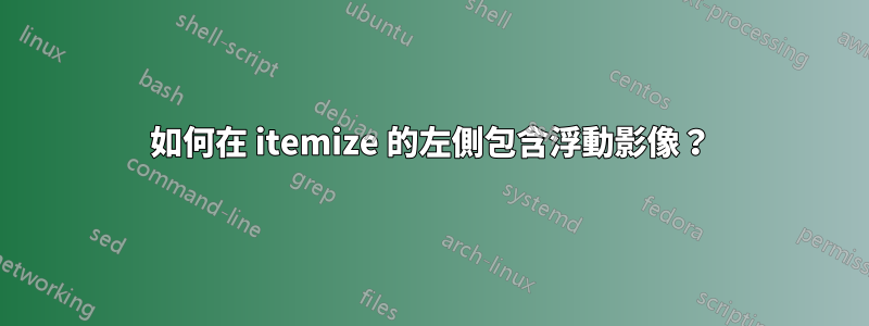 如何在 itemize 的左側包含浮動影像？