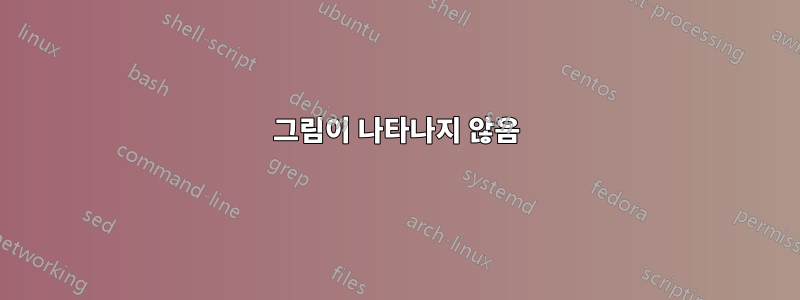 그림이 나타나지 않음