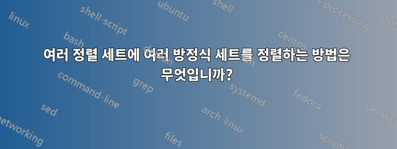 여러 정렬 세트에 여러 방정식 세트를 정렬하는 방법은 무엇입니까?