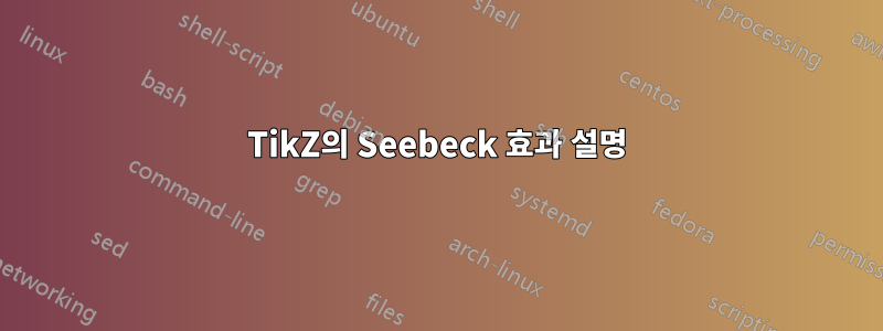 TikZ의 Seebeck 효과 설명