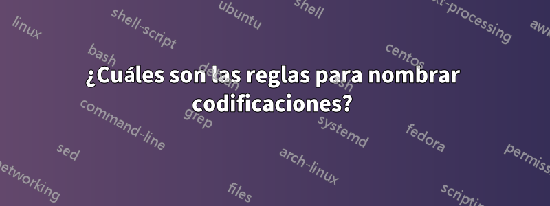 ¿Cuáles son las reglas para nombrar codificaciones?