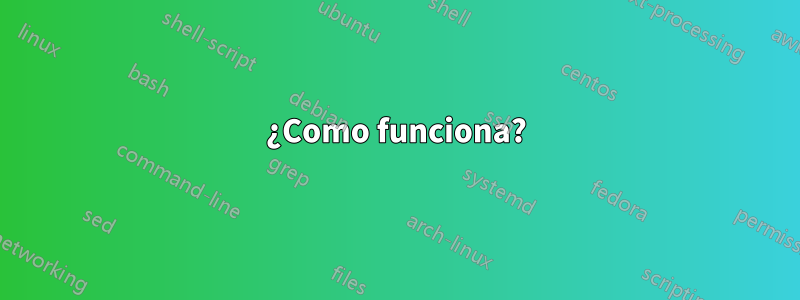 ¿Como funciona?